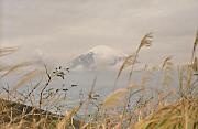 Der Berg Fuji-san