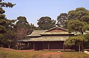 Tokyo, in den  kaiserlichen Gaerten